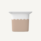 Sand Scallop